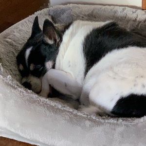 Not for sale. Smiles are free 😉